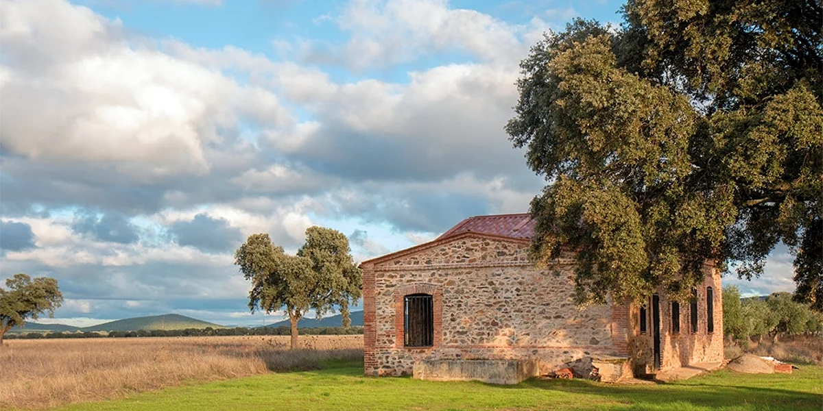 Ciudad Real tendrá una planta de hidrógeno verde a partir de energia solar