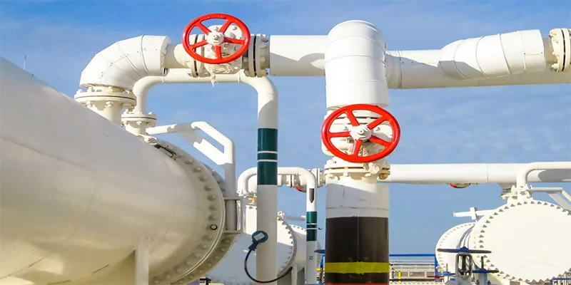 biocombustible como vector energético