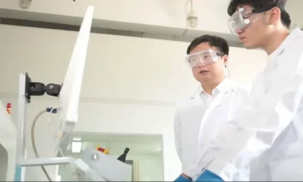 Avances innovadores en pilas de combustible de membrana de intercambio de protones