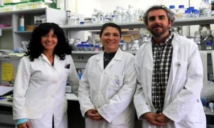 Técnicas de producción de hidrógeno con tratamientos biológicos