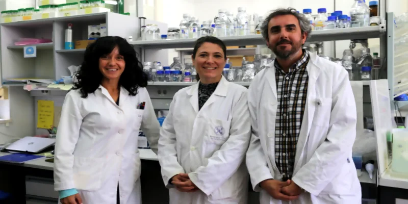 Técnicas de producción de hidrógeno con tratamientos biológicos