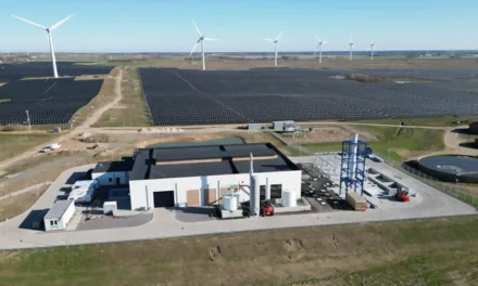 Arranca una planta de amoníaco verde a gran escala