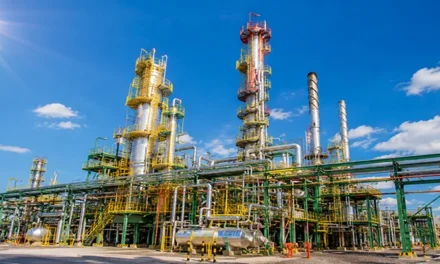 El biocombustible como vector energético renovable