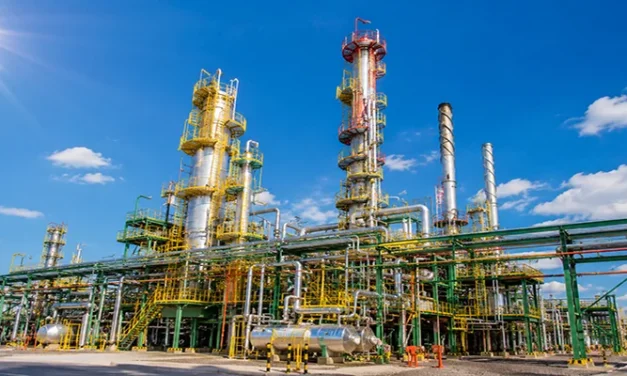 El biocombustible como vector energético renovable