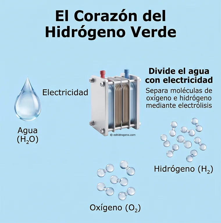 electrolizador de hidrógeno
